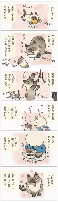 かんたろうという名前の可愛い猫が旅立ちました【連載】ねこ連れ草 295話め|ねこのきもちWEB MAGAZINE 