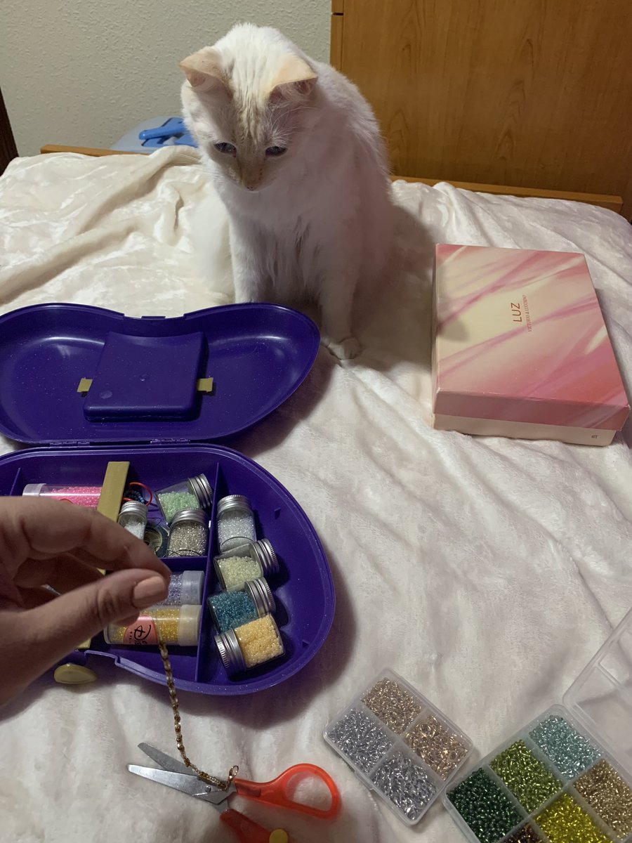 inaocris's tweet photo. Creando pulseras con Khaleesi 🐱
He vuelto a los 90'. #Nightplan https://t.co/R1px0wSsJC