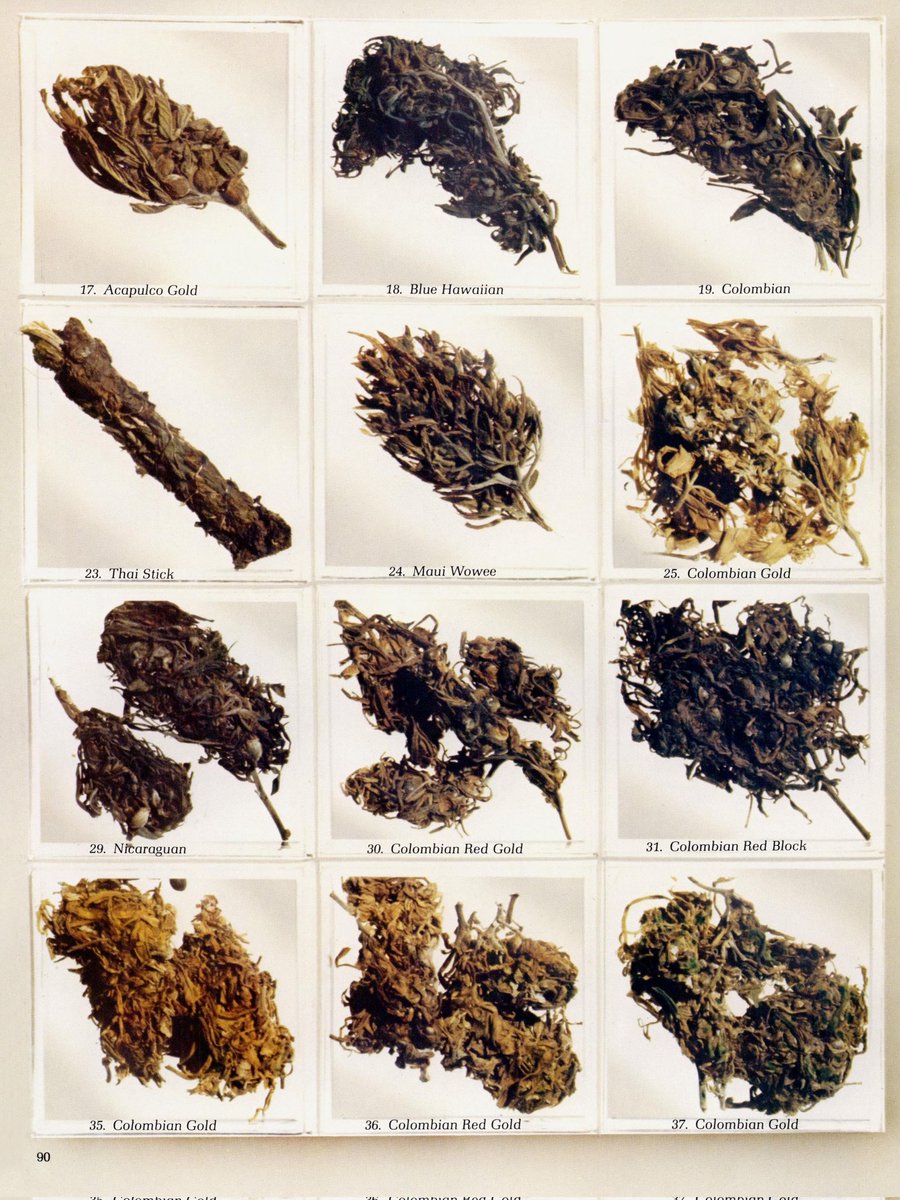 HIGH_TIMES_Mag's tweet photo. Here's a closer look at High Times' Top 40 weed strains of 1977.

Your guide to "the most potent, precious and prettiest crops" of the time. https://t.co/2g2EYCviPt