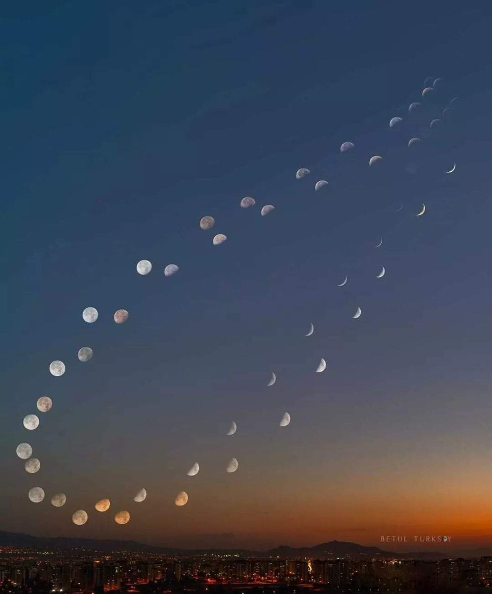 InformaCosmos's tweet photo. Un espectacular analema lunar. 

Para obtener este tipo de imágenes se toma una foto del cielo todos los días, a la misma hora, desde el mismo lugar y apuntando en la misma dirección en el cielo. Luego a través del procesamiento fotográfico se apilan las tomas y el resultado es el que estás viendo. 

📷: Betul Turksoy