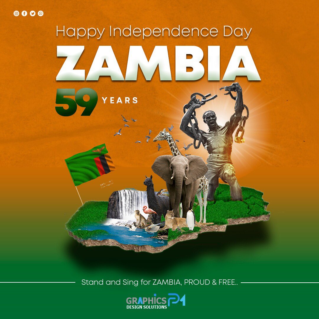 SoftLife_King tweet media