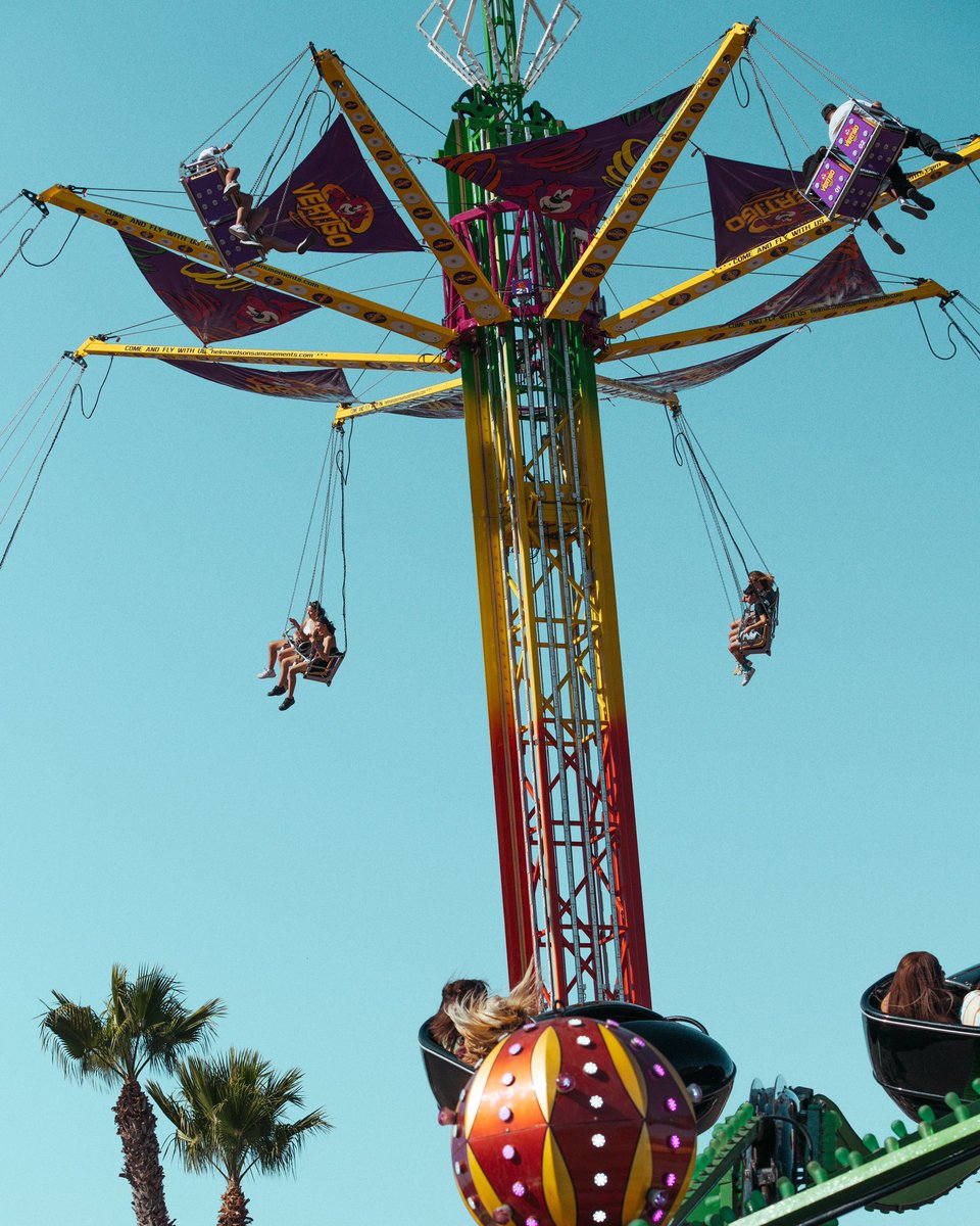 Camp Flog Gnaw tweet media
