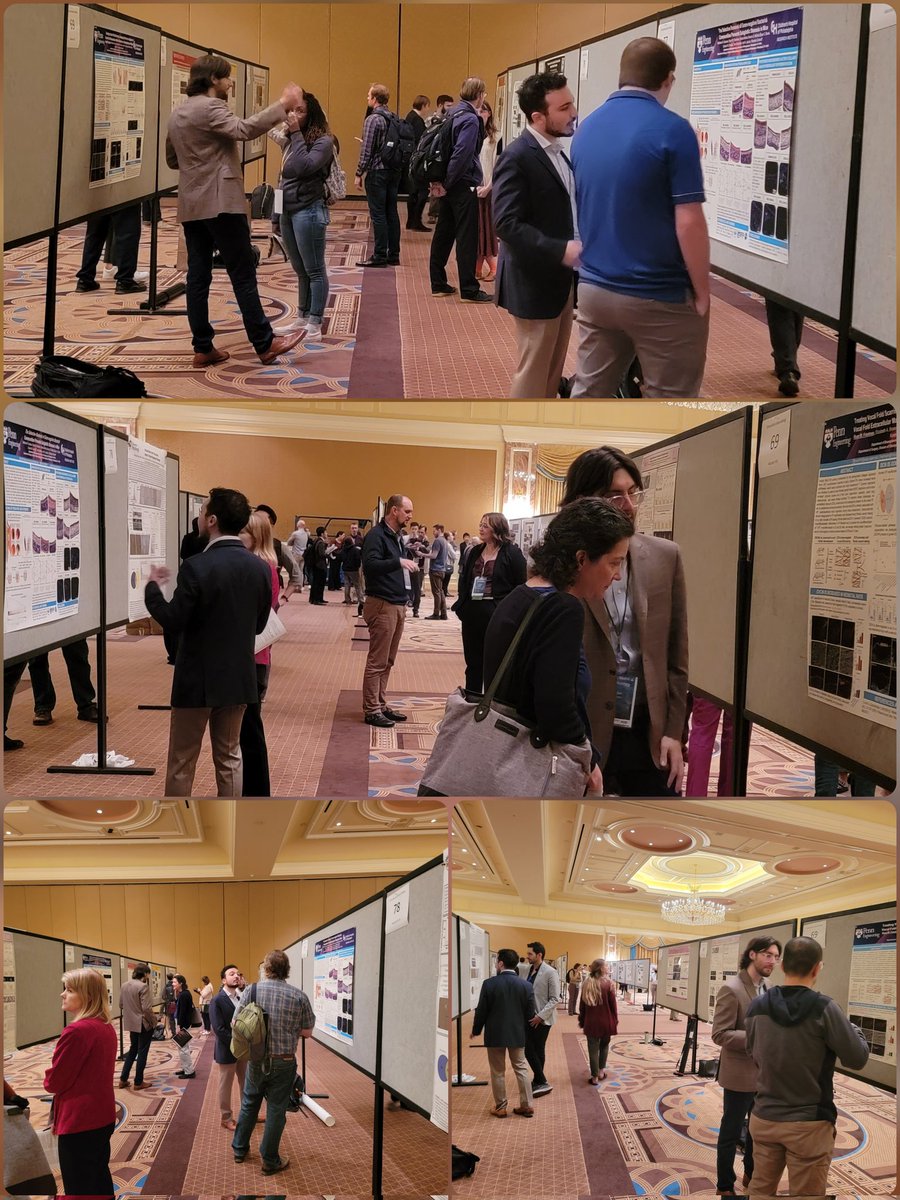 Riccardo Gottardi tweet media