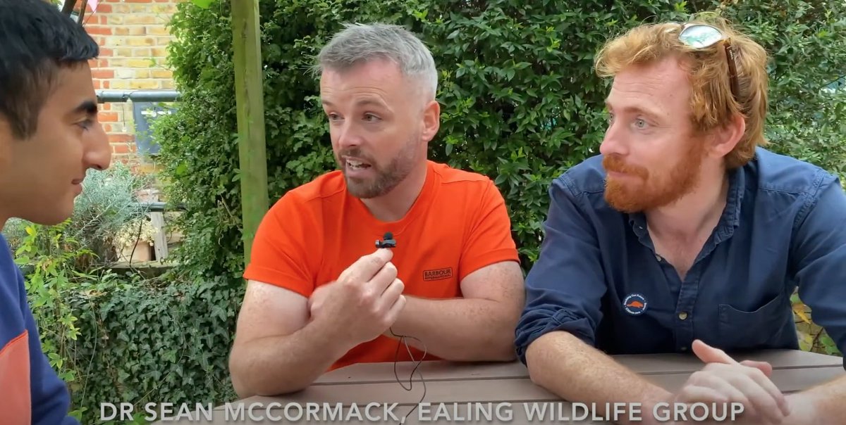 Ealing Beaver Project was featured in a great VT from @Kaulofthewilduk on @8outof10bats, with an interview of @ThatVetSean and @ElliotNewton90. Watch the segment here: youtube.com/live/ROC7TqWqS…