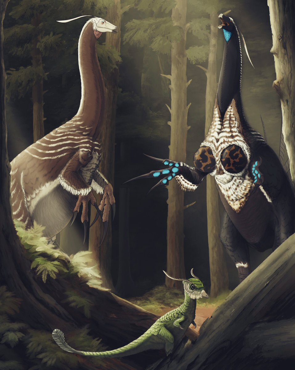 FilikoTo's tweet photo. Dating
#paleoart #dinosaur #paleontology #Therizinosaurus #mononykus #dinosaurart #paleo https://t.co/kRFyIgTDfy