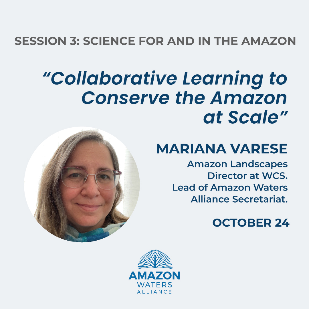 Mañana 24 de octubre, Mariana Varese de la secretaría técnica de la Alianza Aguas Amazónicas, hablará sobre 'Aprendizaje colaborativo para conservar la Amazonía a escala' en el  #WWFLovejoy Symposium de @WWFScience.
Hora: 12h00 (Lima)
Inscripción gratuita: bit.ly/3LeXEu