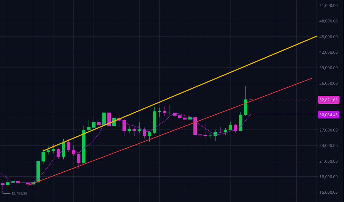 Twisted Systems ₿🚀 tweet media
