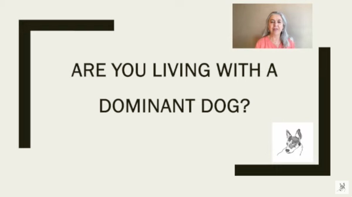 Almuoc's tweet image. In this installment of Hound Lane, I present some background on what the scientific community refers to as Dominance or Social Dominance in wolves and dogs.
buff.ly/45G1rbG

 #dogbehavior #dogbehaviortips #dogbehaviormodification