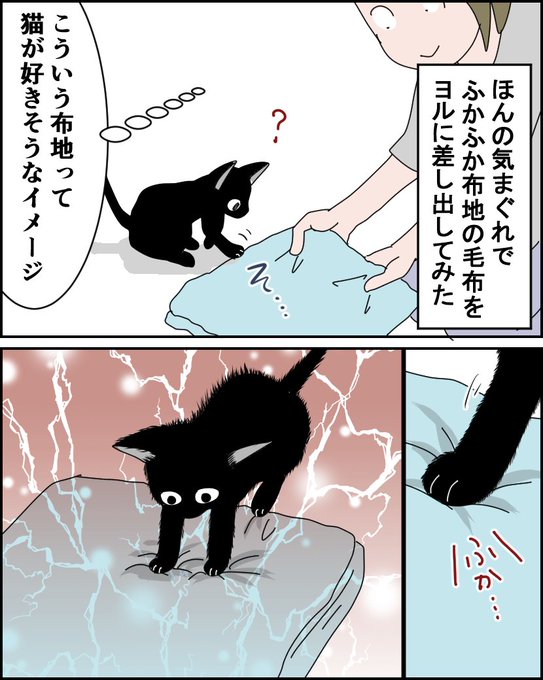 第45話【猫飼い1年生】  初めてのチュパチュパ (1/2)  #漫画が読めるハッシュタグ #猫 #コミックエッセイ
