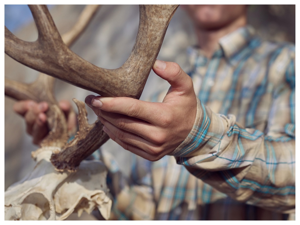 Jesse Rieser tweet media