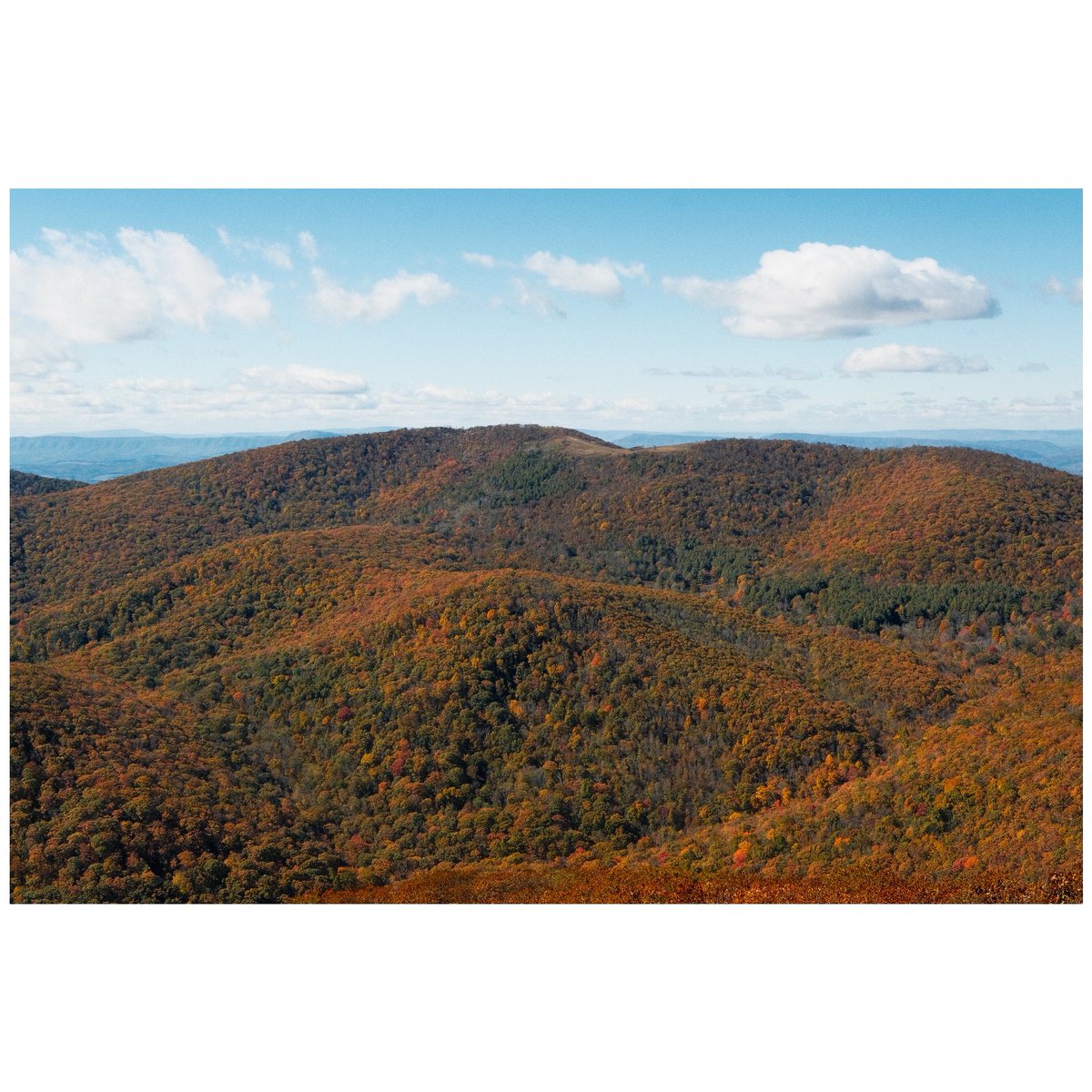Sonder_Bass's tweet photo. Here’s a few shots I took on top of Mt. Pleasant yesterday. Virginia Fall is PRIME right now 🍁 https://t.co/igLSksX3YC