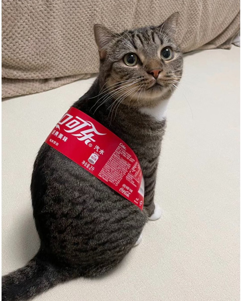 乐游广东💯 tweet media