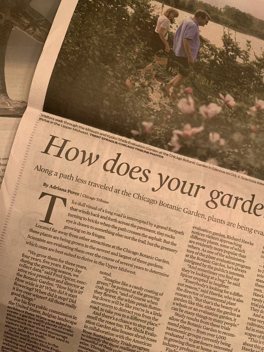 Megy Karydes tweet media