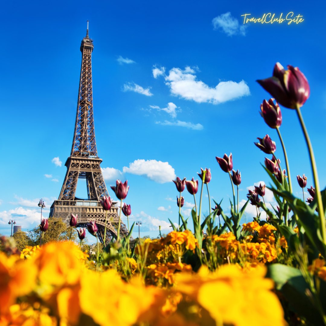 TravelClubSite's tweet photo. The Eiffel Tower garden in spring, where tulips bloom and Paris comes alive with color. 🌷🗼 Have you experienced the vibrant beauty of this iconic landmark in full bloom? 📸🌼 #eiffeltowergarden #eiffeltower #springinparis #tulips #travel 🍷🇫🇷🌞 https://t.co/ThjH0ryjLm