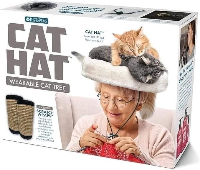 Posts Of Cats tweet media