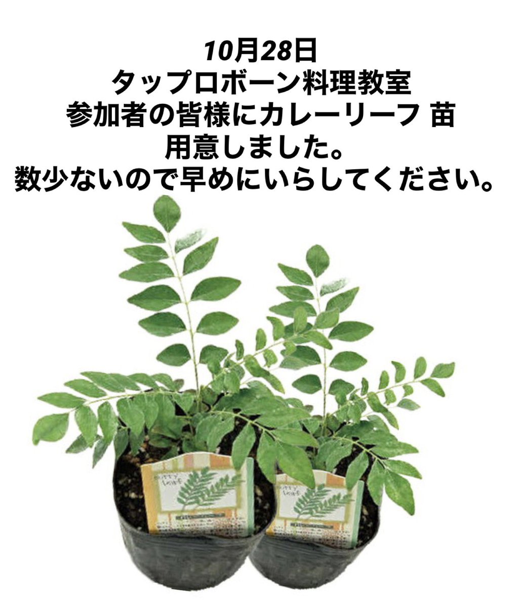japalanka's tweet photo. タップロボーン料理教室編 https://t.co/zVJlLUQ44e