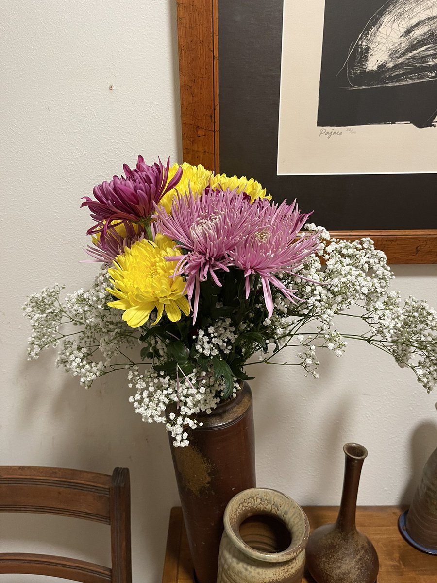 celadon100's tweet photo. It’s #Fall. #chrysanthemums https://t.co/LxWhVPENki