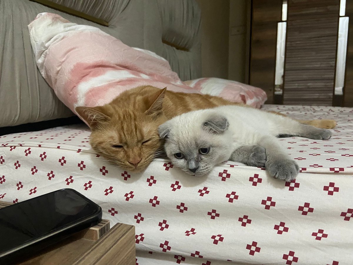 aycaktass's tweet photo. Sizi öyle çoook seviyorum ki 🤍 https://t.co/SYf7KuvAdu