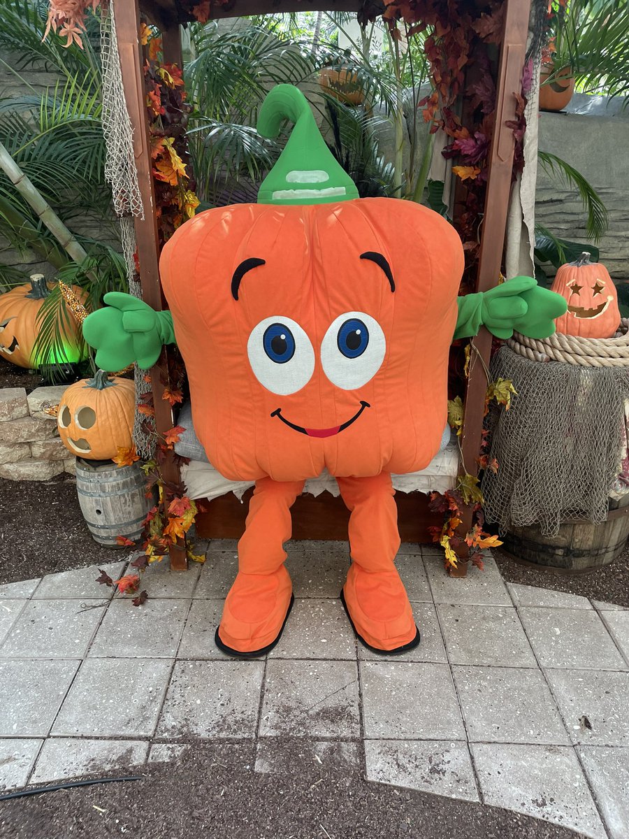 bash_angelo's tweet image. Meet and greet 
#spookley @GaylordPalms 

Ready for the #Halloween