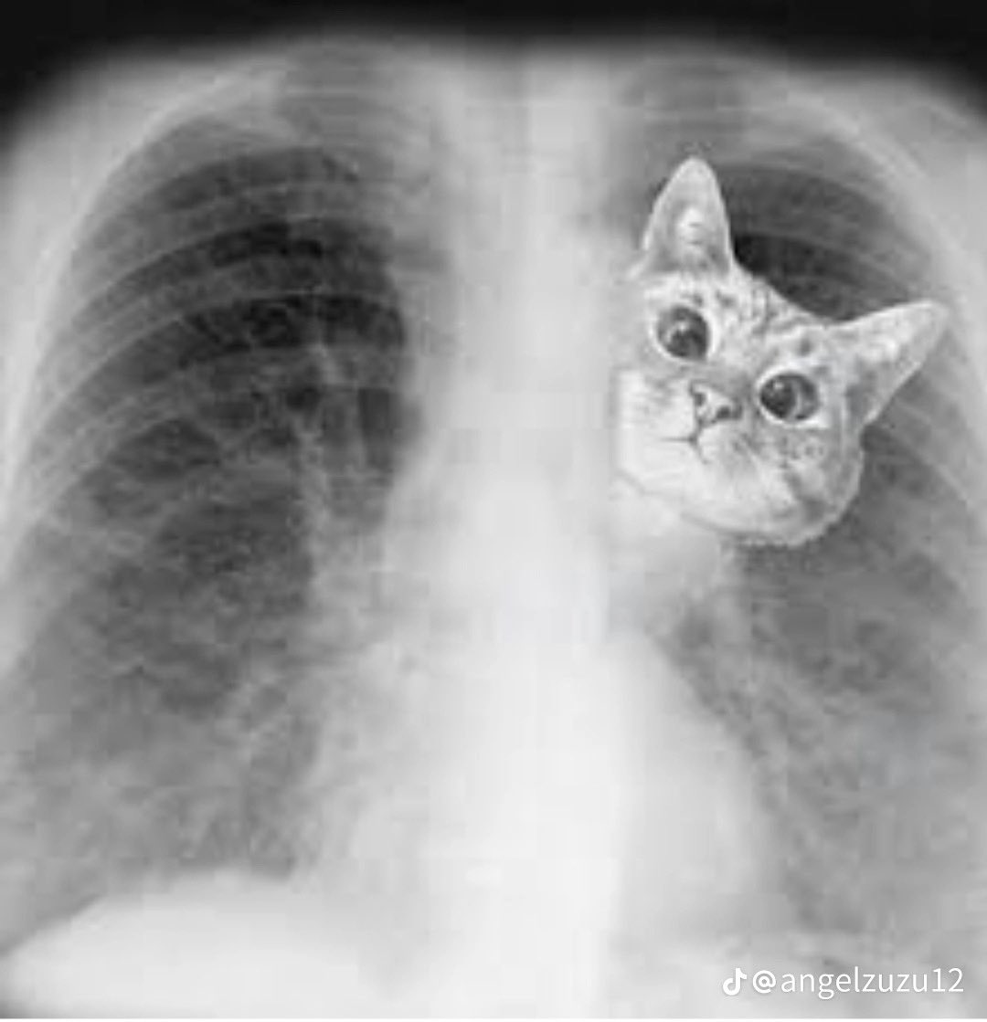 فاطمه ☀️ tweet media