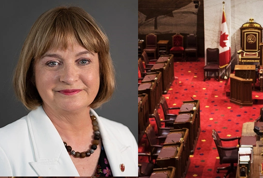 Polysesouvient's tweet photo. Merci sénatrice @mivillej pour avoir insisté que @DLeBlancNB s'engage en termes de délai en lien avec l'interdiction des armes d'assaut existantes: le ministre s'est bel et bien engagé à agir le plus vite possible, soit d'ici un an. #decrets #C21 @senatCA https://t.co/uPizuDeh0J