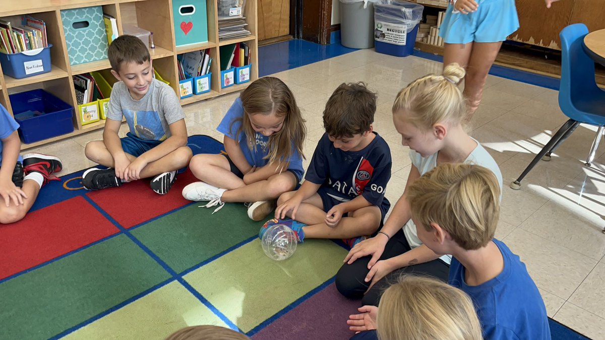 Arielle Lutzer tweet media