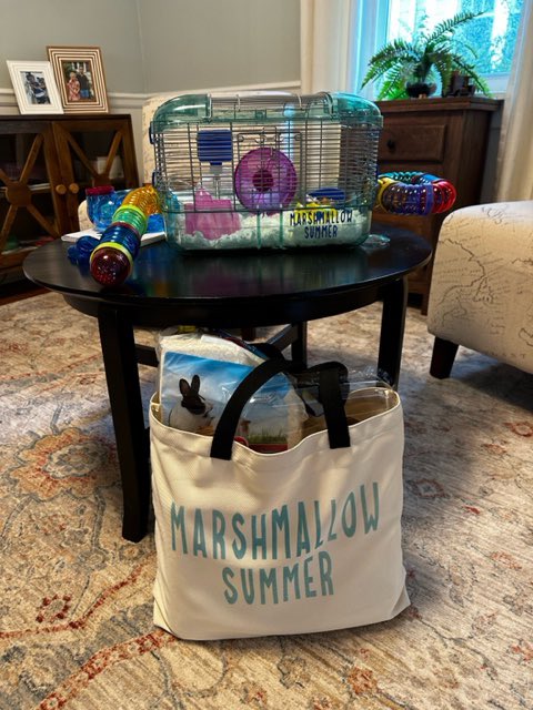 Arielle Lutzer tweet media