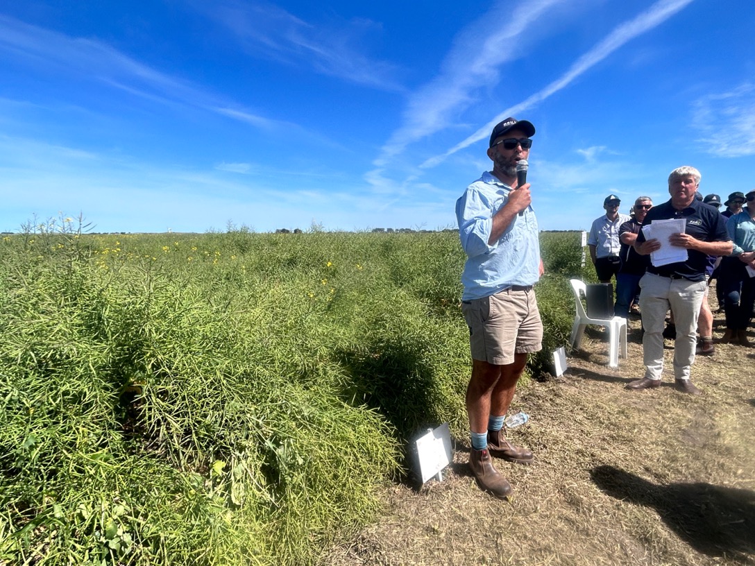 GRDCSouth's tweet photo. Last week GRDC's @rebekah_starick @CourtneyPeirce1 attended the Hyper Yielding Crops and Pulse Agronomy – SA Annual Field Day in Hatherleigh. Thanks to @far_australia and the 90+ people who came along &amp; participated in the interesting discussions about yield potential &amp; more. https://t.co/zRHkQzs6U6