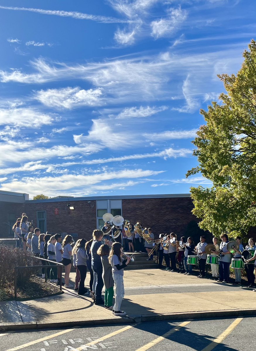 Dr. Rachel Adams tweet media