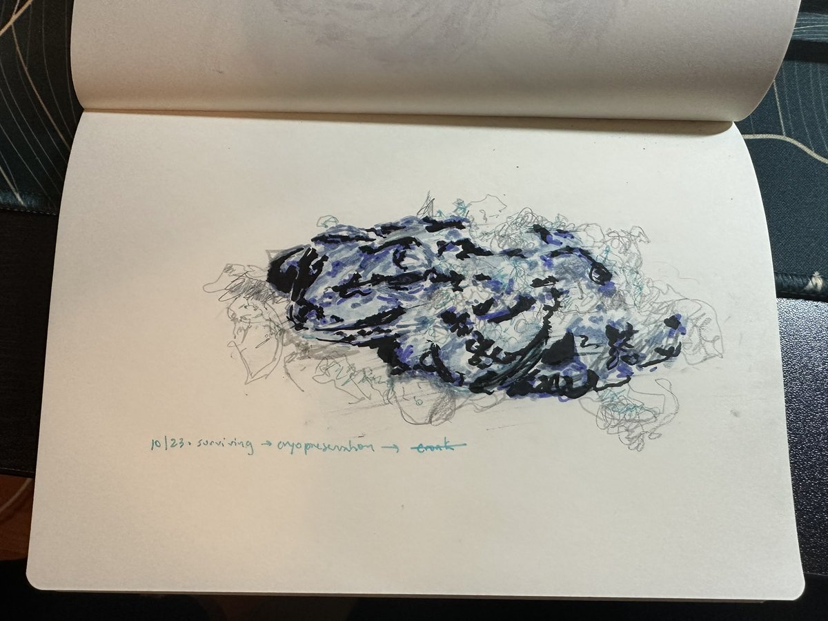 Connie Jiang tweet media