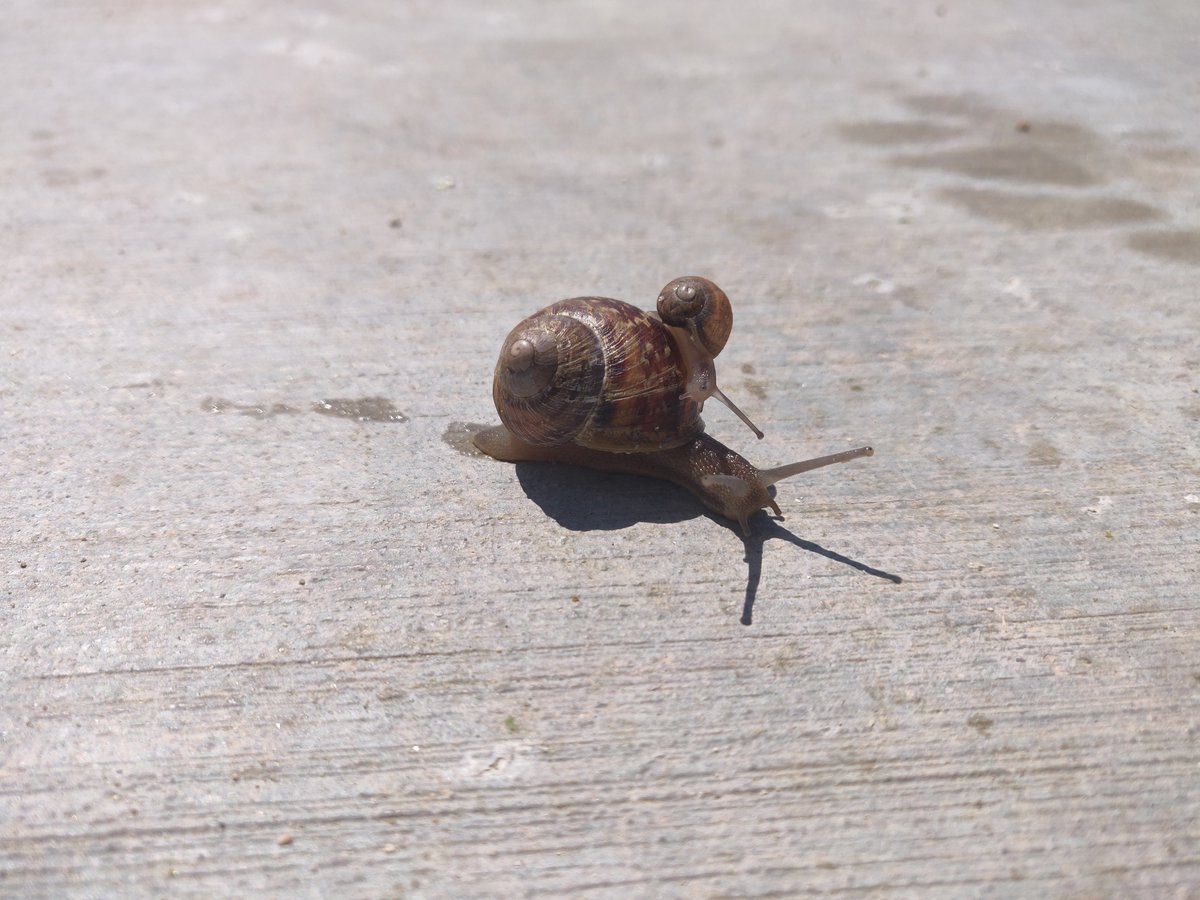 Post a random photo from your phone with no explanation.