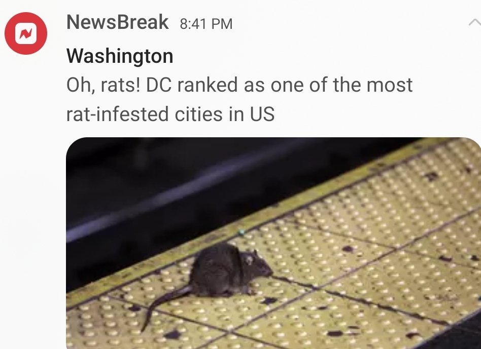 RealEst10329820's tweet image. #WashingtonDC #CrimeInfested #MurdersInDC #DeathInDC #KilledInDC #KillersInDC #SoftOnCrime #LiberalJudges #SuperCriminals #DeadVictimCivilians