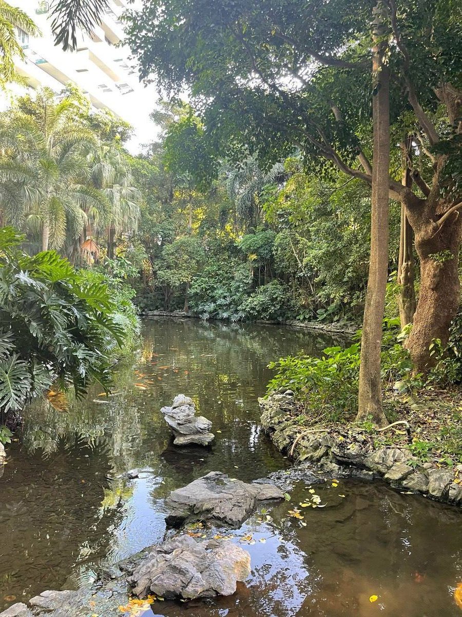 Anendsda's tweet image. The environment in the mountains is always so quiet