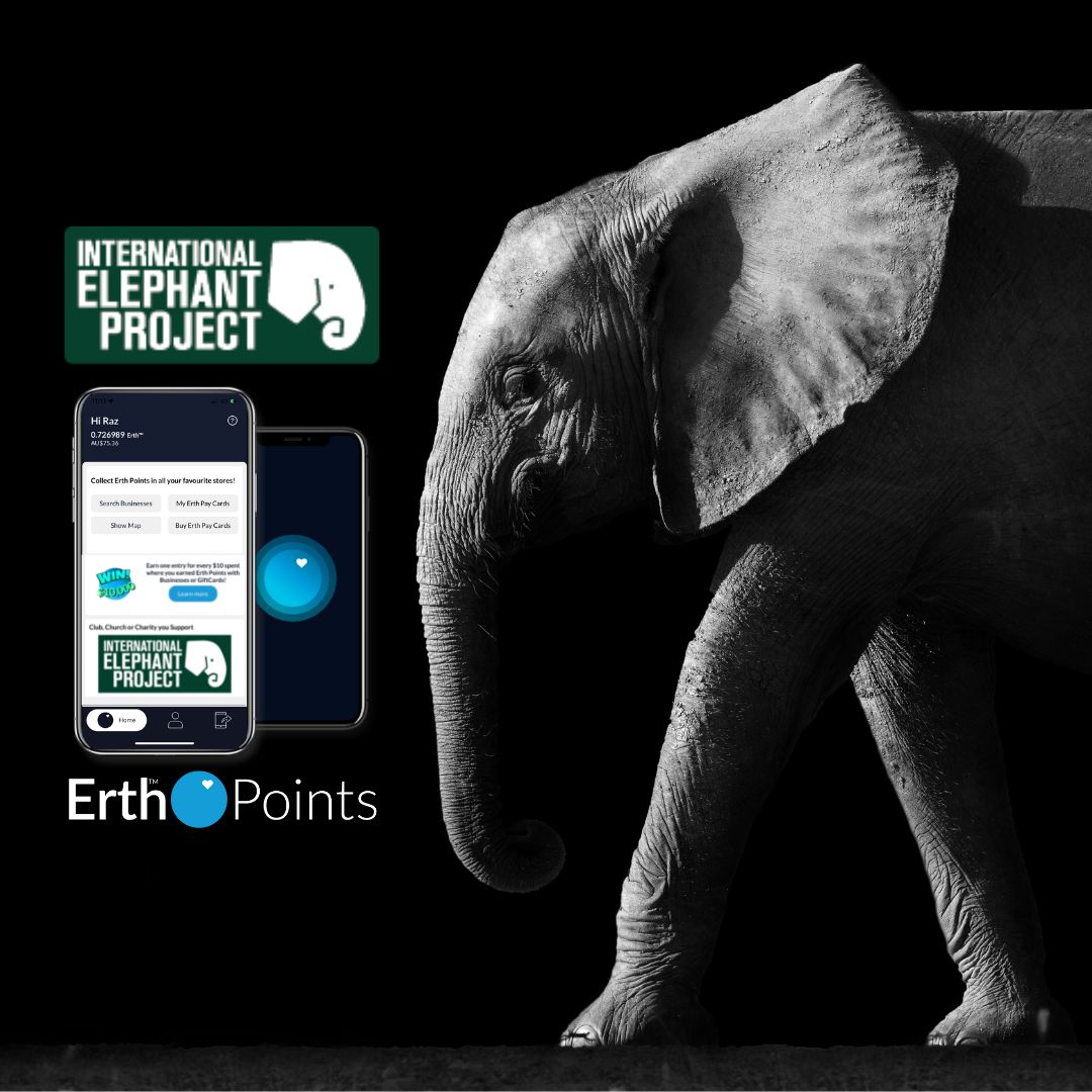 R4EFoundation's tweet photo. To ensure the survival of these majestic elephants, Help us support the International Elephant Project! 🐘
Find out about the IEP here: https://t.co/5jRa10szsx https://t.co/r1zjKlE8lf