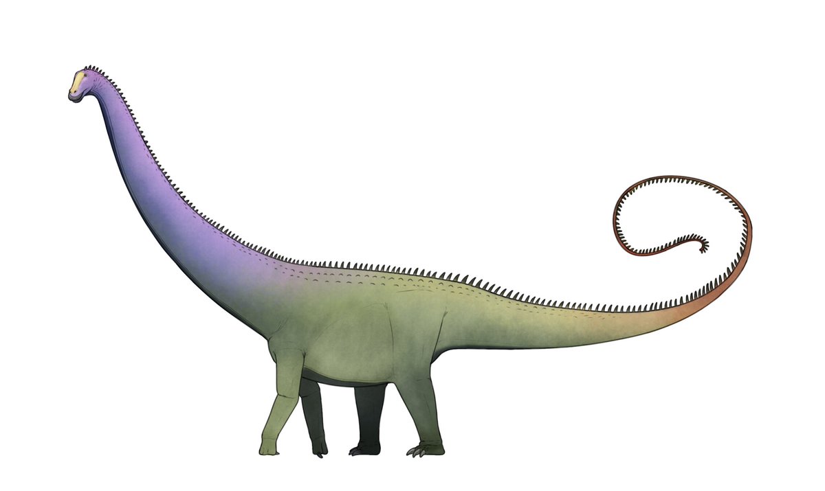 Peak4651's tweet photo. Male Kaatedocus in breeding season 🦕 #paleoart #kaatedocus #sauropod #diplodocid https://t.co/lk6NVfzCkI