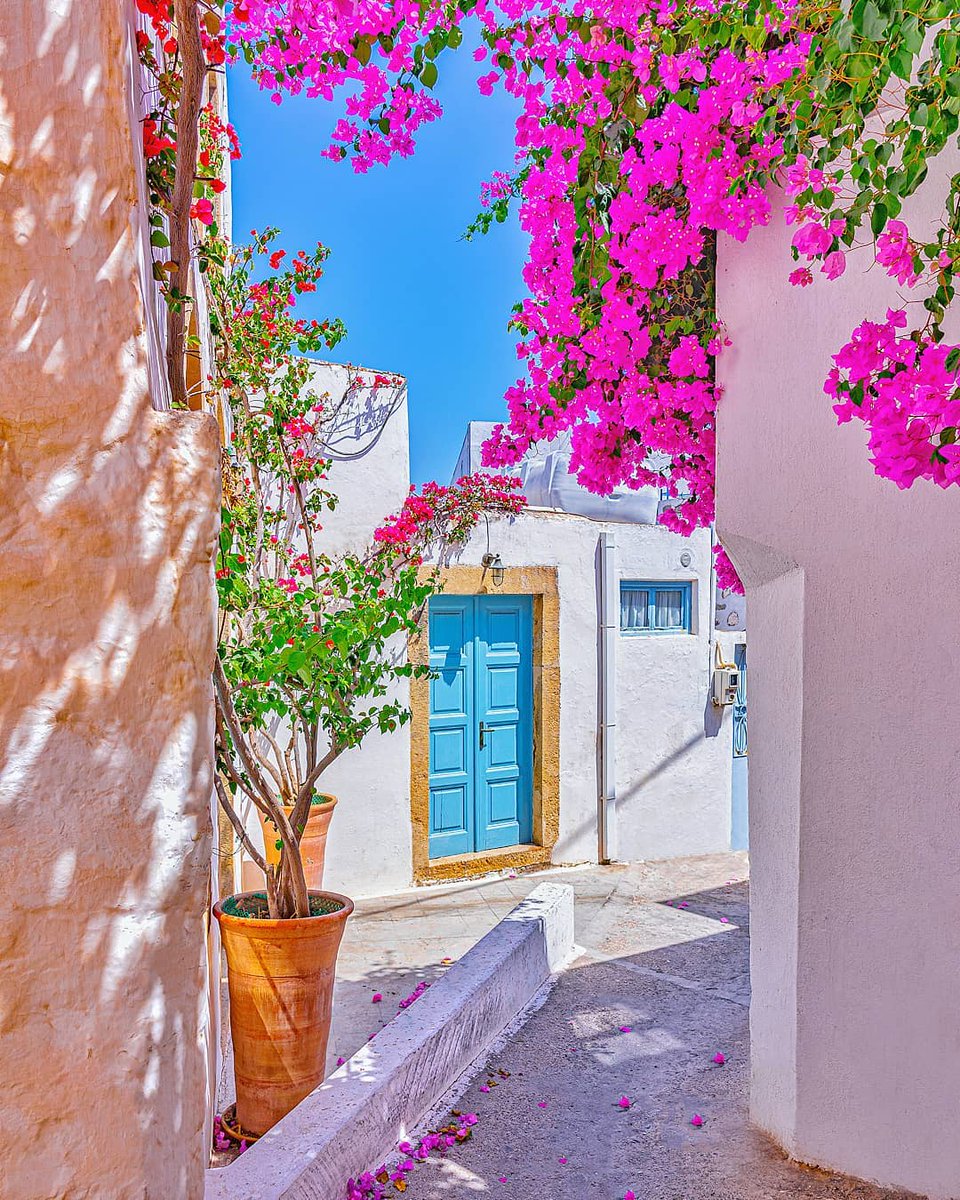 VisitPatmos's tweet image. A picturesque corner in the Chora of Patmos, the main settlement of the island!

patmos.gr

📷: John (instagram.com/john_tzimopou)

#visitpatmosisland #visitpatmos #patmos #patmosisland #visitgreece #greekislands #greece #weddings #Monastery #villages #beaches #Πάτμος