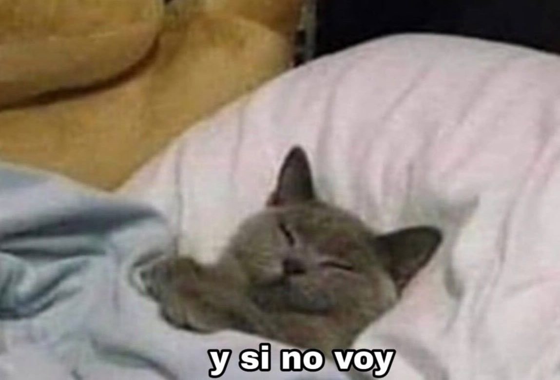 yo todas las mañanas cuando suena la alarma