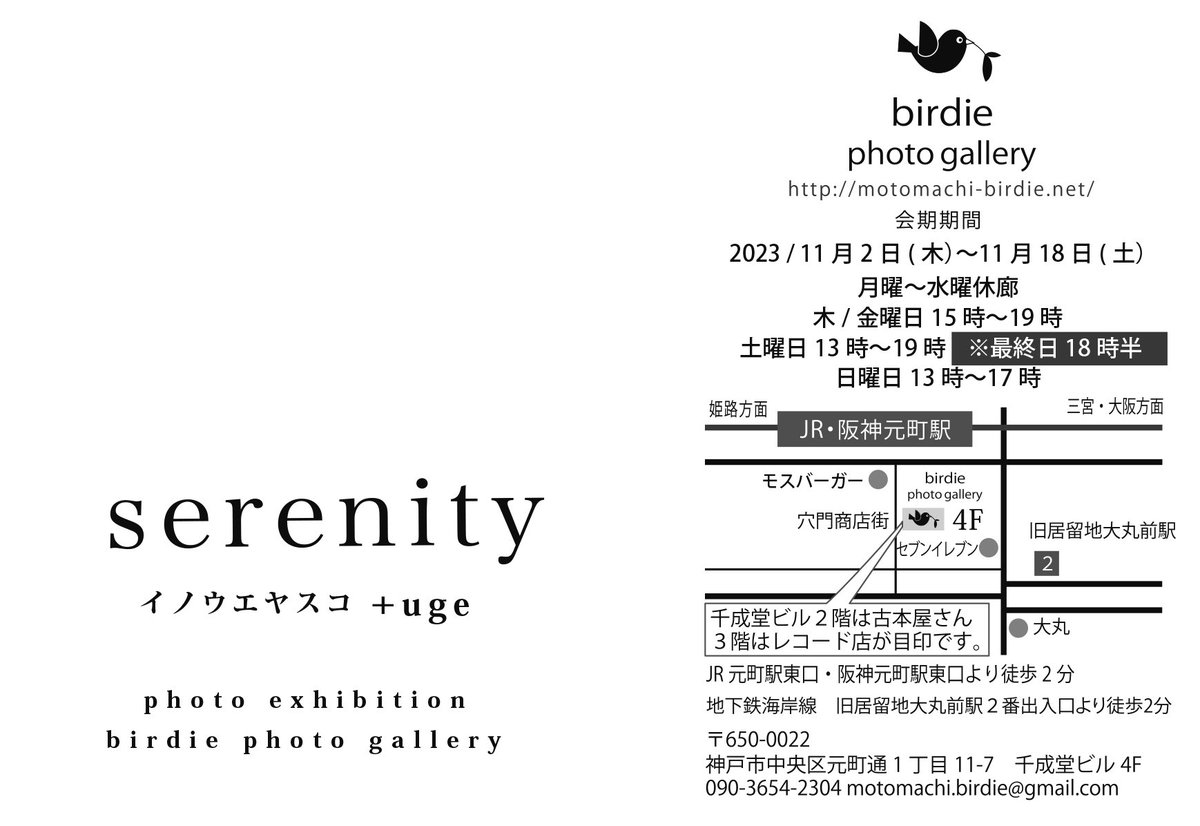 birdie_gallery's tweet photo. 「serenity 」
イノウエヤスコ+uge
11月2日木曜日～11月18日土曜日
月曜日～水曜日:休廊
木・金曜日15時～19時
土曜日13時～19時
日曜日13時～17時

※祝日㊗️13時～19時
最終日土曜日13時～18時半 https://t.co/t8XuDYbr5S