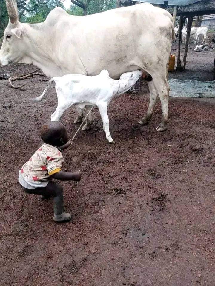 Opade14's tweet photo. Some people succeed at young age due to proper upbringing. https://t.co/FyfEvyi2as