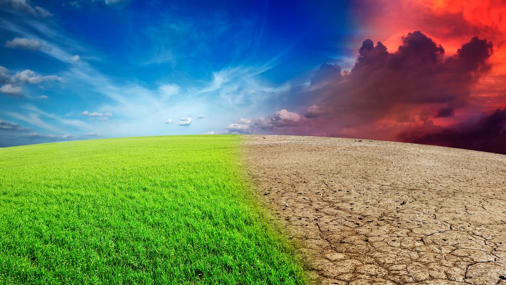 Hoy es el #DíaInternacionalcontraelCambioClimático
Desde Ricagroalimentación os animamos a conocer más sobre esta problemática que afecta a nuestro planeta
#CambioClimatico #MedioAmbiente