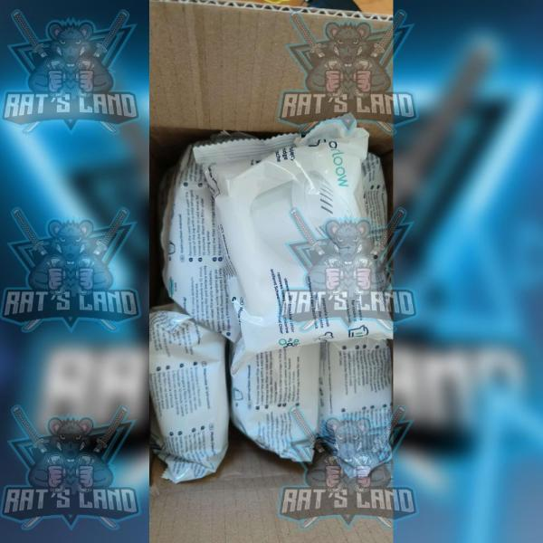 Rat's Land ™ tweet media