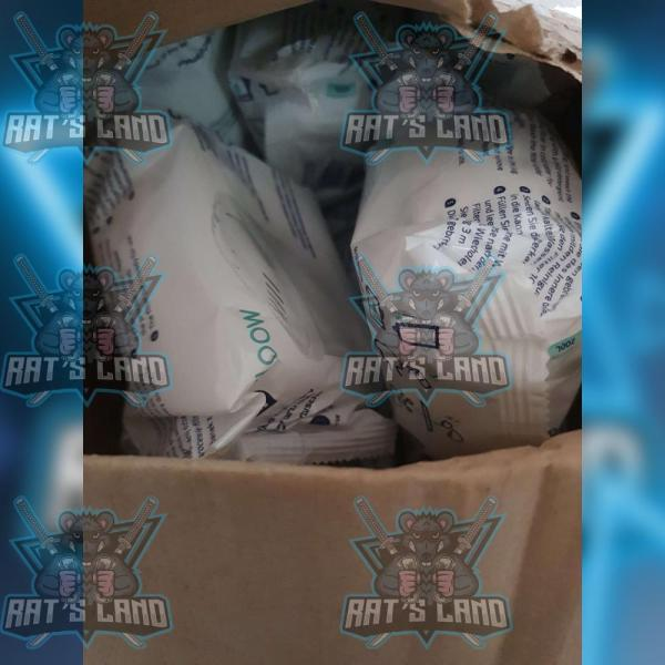 Rat's Land ™ tweet media