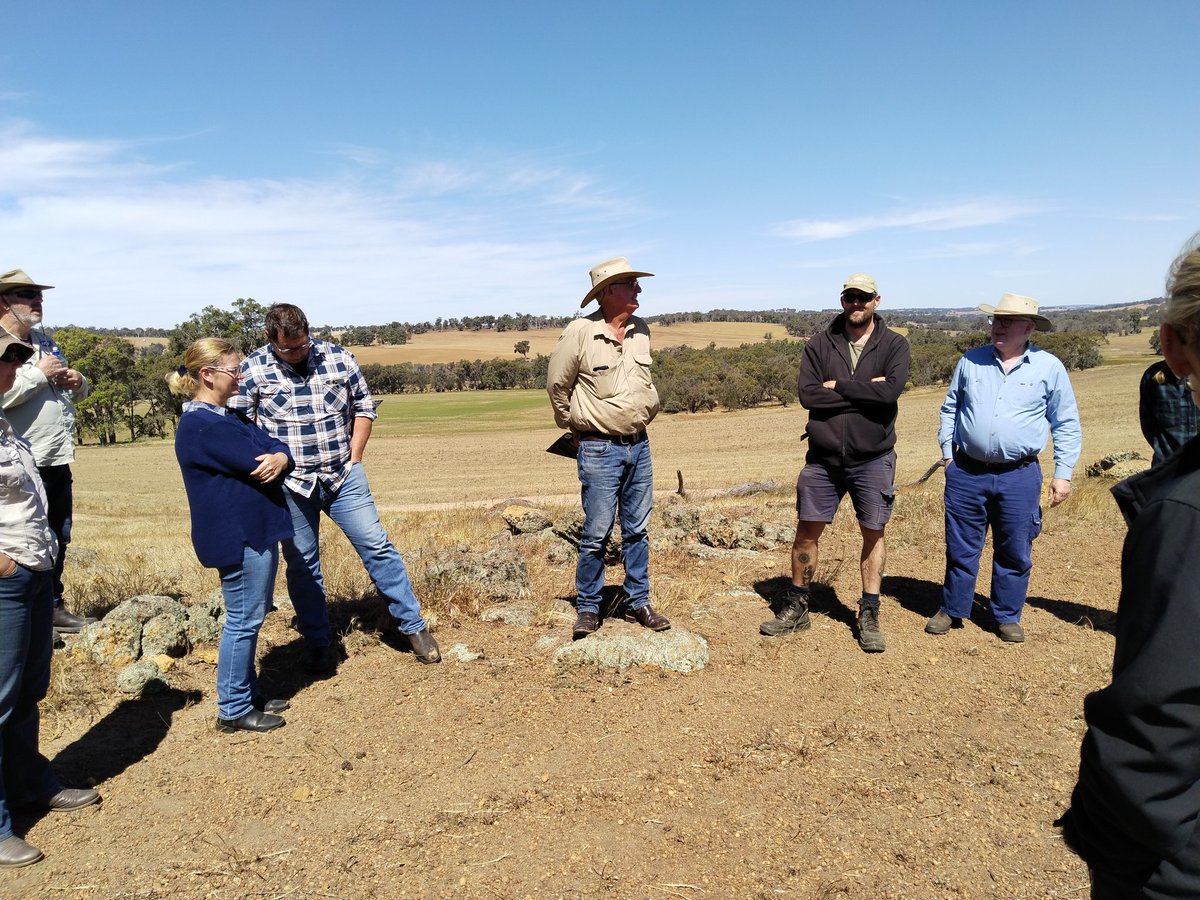 Mick Davis tweet media