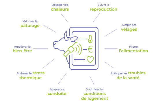 Un œil sur chaque vache 24h/24, 7 jours/7 !

🕊 En ce moment profitez de l'offre liberté : Zéro engagement, Zéro investissement, Monitorez ! 

swll.to/qAtGXMN

#monitoring #liberte #FarmLife