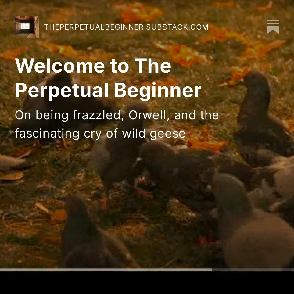 I've started a Substack 🖊️
Short posts about culture, art, philosophy and spiritual practice... here's the first one - a 6-mins read - on being frazzled, George Orwell, and the endlessly fascinating cry of wild geese...
#ThePerpetualBeginner open.substack.com/pub/theperpetu…