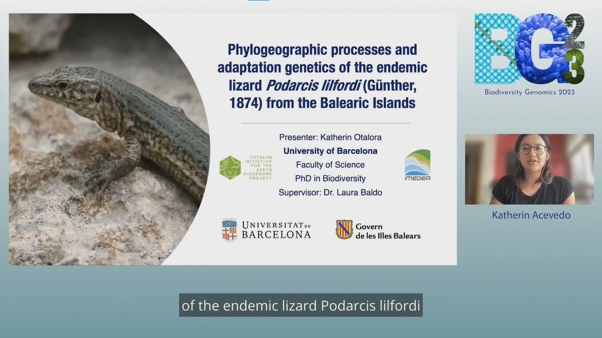 🦎Don't miss <a href="/KatherinOtalora/">Katherin Otalora</a> talk about Podarcis lilfordi!

We are very happy to see genomes funded by #Biogenoma <a href="/iec/">IEC</a> are starting to be used for the #conservation of threatened species such as Podarcis lilfordi.

You can find it in #BG23 On demand Vertebrates #genomes session.