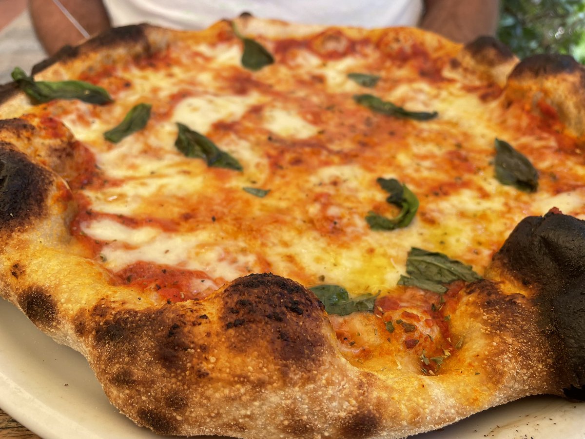 travelblogjamie's tweet image. Yesterday in Corsica we went to a honey bee farm, took Le Petit Train through the countryside into the mountains, enjoyed the beach in Ajaccio and had fabulous pasta and pizza. A balmy 29 degrees Celsius for late October! A very successful day ❤️ @TUIUK #tui #marella #cruise