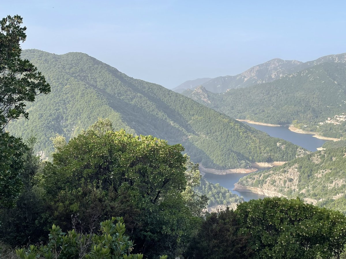 travelblogjamie's tweet image. Yesterday in Corsica we went to a honey bee farm, took Le Petit Train through the countryside into the mountains, enjoyed the beach in Ajaccio and had fabulous pasta and pizza. A balmy 29 degrees Celsius for late October! A very successful day ❤️ @TUIUK #tui #marella #cruise