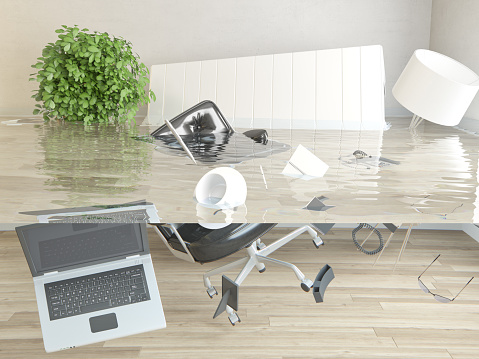 Días!! Porque hoy es el #DíaInternacionalContraElCambioClimático algún día llegaré a la ofi y estará así: