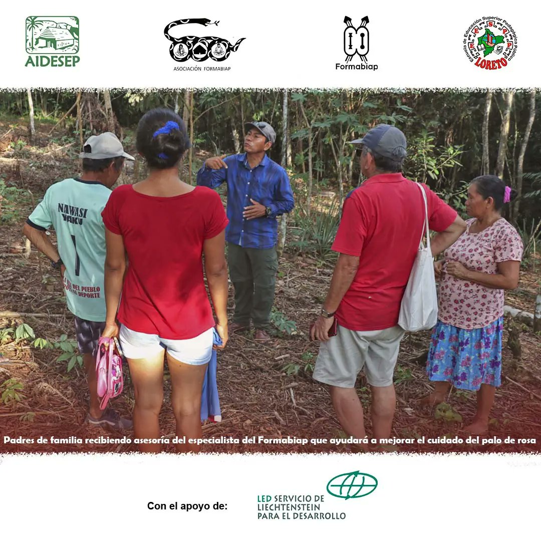 FORMABIAP tweet media